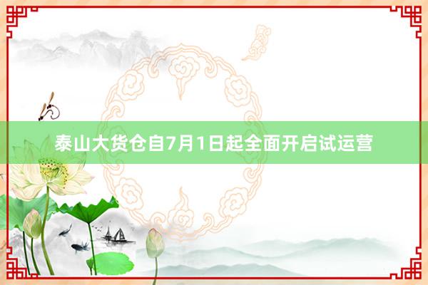 泰山大货仓自7月1日起全面开启试运营