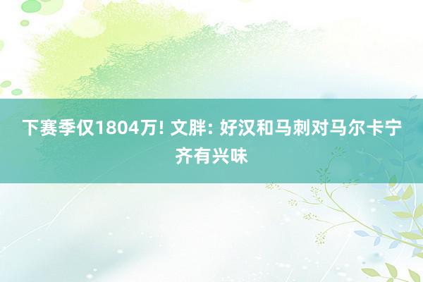 下赛季仅1804万! 文胖: 好汉和马刺对马尔卡宁齐有兴味