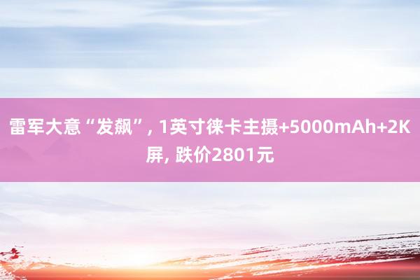 雷军大意“发飙”, 1英寸徕卡主摄+5000mAh+2K屏, 跌价2801元