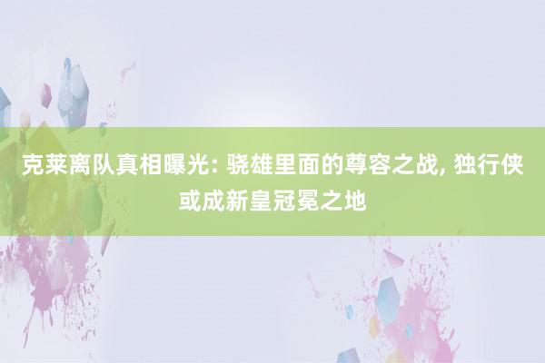 克莱离队真相曝光: 骁雄里面的尊容之战, 独行侠或成新皇冠冕之地