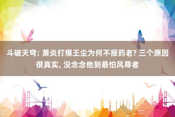 斗破天穹: 萧炎打爆王尘为何不报药老? 三个原因很真实, 没念念他到最怕风尊者