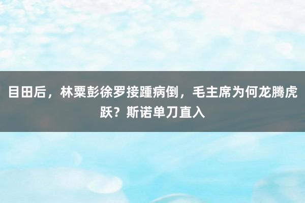 目田后，林粟彭徐罗接踵病倒，毛主席为何龙腾虎跃？斯诺单刀直入