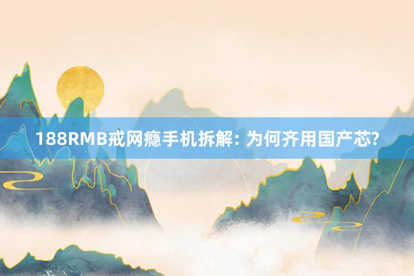 188RMB戒网瘾手机拆解: 为何齐用国产芯?