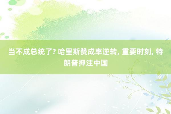 当不成总统了? 哈里斯赞成率逆转, 重要时刻, 特朗普押注中国