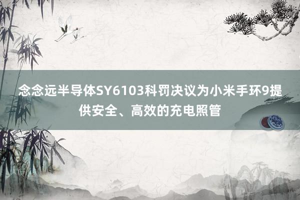 念念远半导体SY6103科罚决议为小米手环9提供安全、高效的充电照管