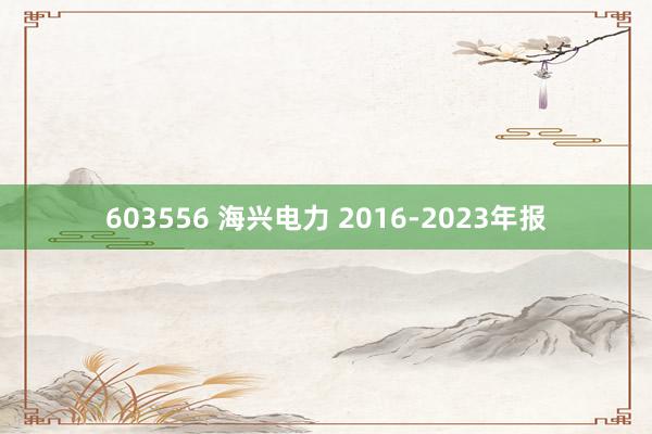 603556 海兴电力 2016-2023年报